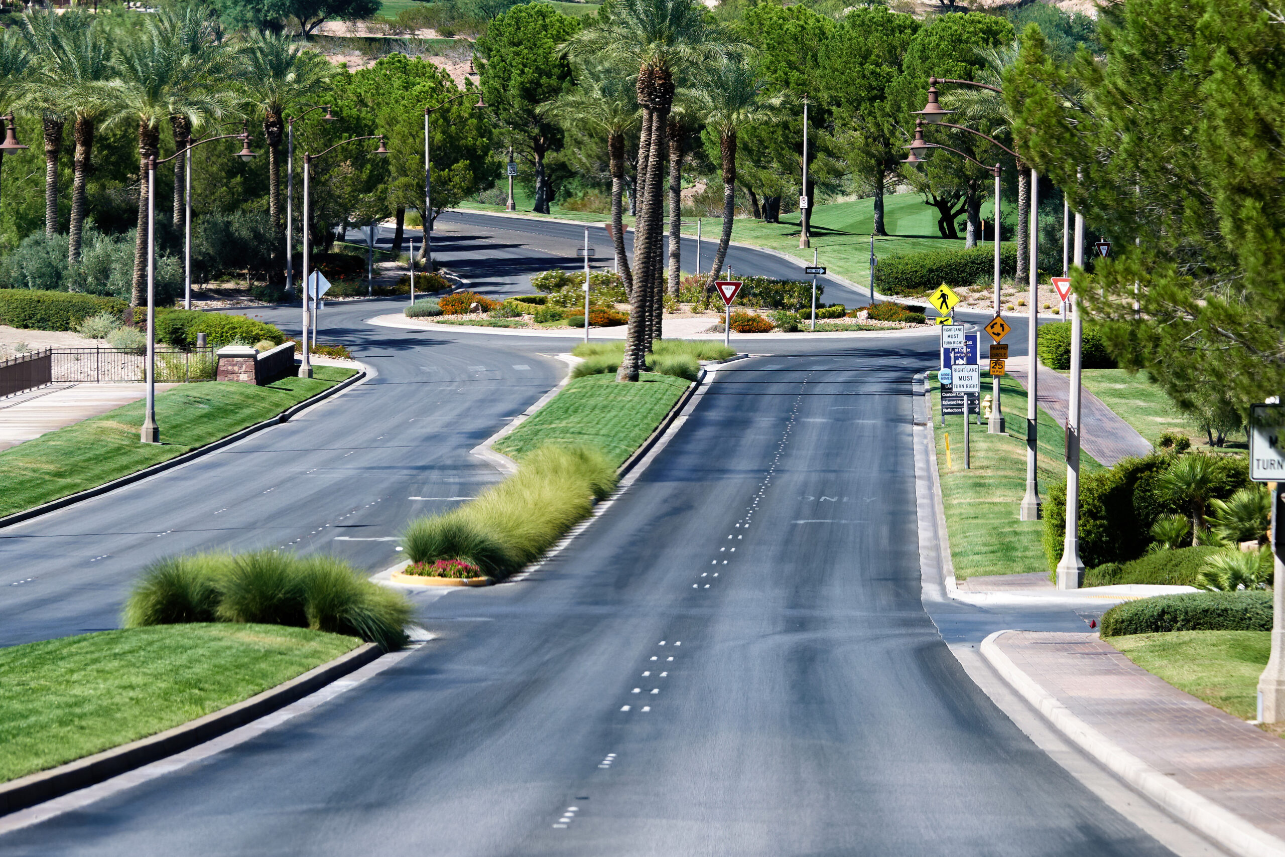 Road passing through a small town with lush greenery with cliffs on the background in Nevada, USA
