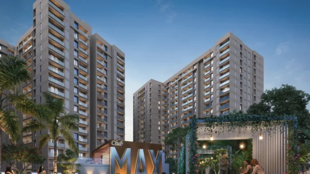 Amenities 01 Basil Maximus