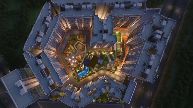 Amenities 11 Basil Maximus