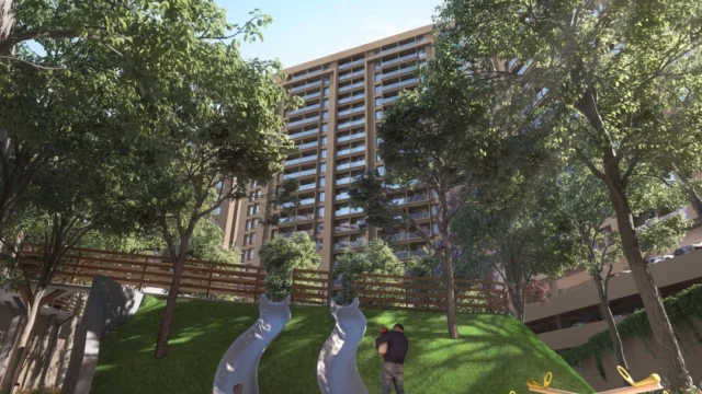 Amenities 12 Basil Maximus