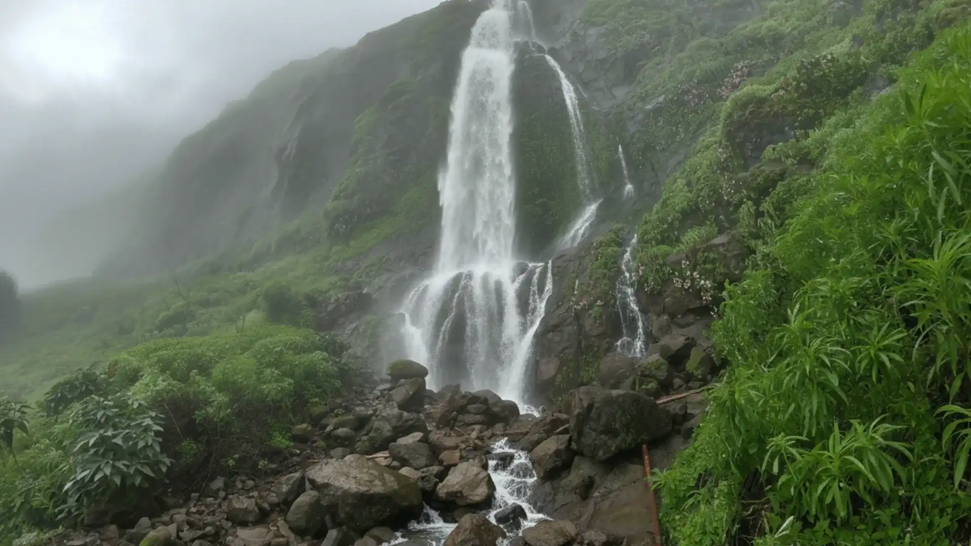 reviera-greens-velhe-pune14